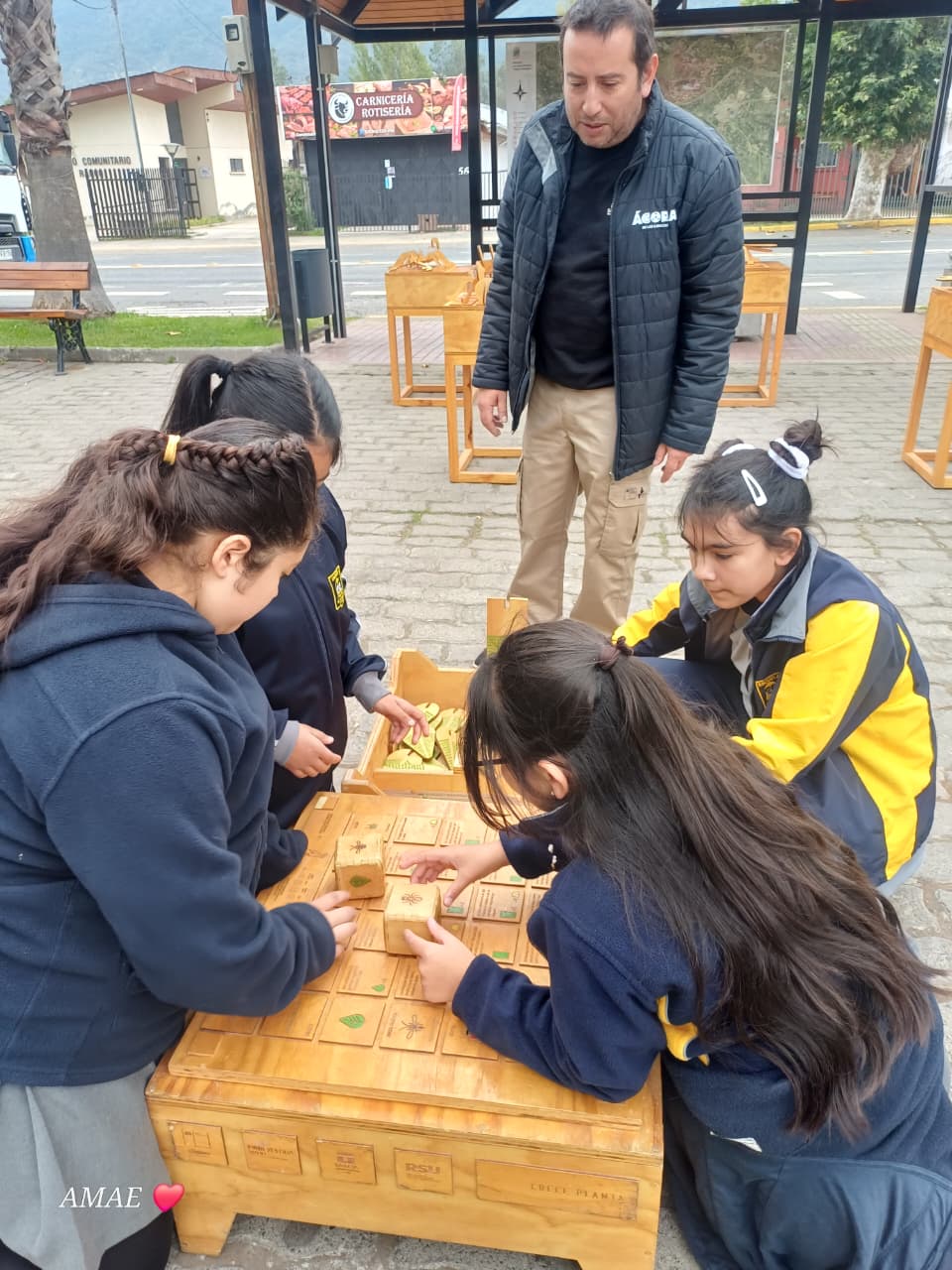 Estudiantes en actividad educativa al aire libre